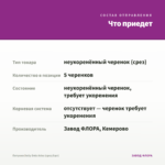 Петуния Dolly Dots Aries (срез/5шт) — что приедет