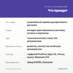 Петуния Fanfare Blue (0,1л) — что приедет