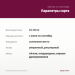 Петуния Go!Tunia Cosmic Pink (0,1л) — параметры сорта