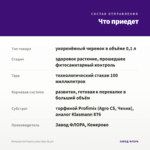 Петуния Go!Tunia Lucky Lilac (0,1л) — что приедет