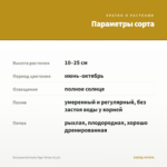 Петуния Go!Tunia Tiger Stripe (0,1л) — параметры сорта