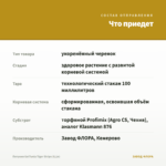 Петуния Go!Tunia Tiger Stripe (0,1л) — что приедет