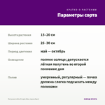 Петуния Little Purple Blue (срез/5шт) — параметры сорта