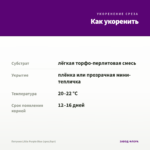 Петуния Little Purple Blue (срез/5шт) — как укоренить черенок