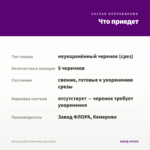 Петуния Little Purple Blue (срез/5шт) — что приедет
