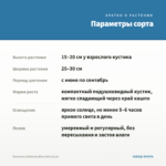 Петуния Littletunia Blue Vein (0,1л) — параметры сорта