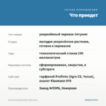 Петуния Littletunia Blue Vein (0,1л) — что приедет