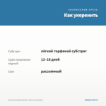 Петуния Littletunia Blue Vein (срезы/5шт) — как укоренить черенок
