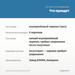 Петуния Littletunia Blue Vein (срезы/5шт) — что приедет