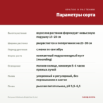 Петуния Littletunia Bright Red (0,1л) — параметры сорта