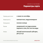Петуния Littletunia Bright Red (срезы/5шт) — параметры сорта