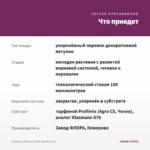Петуния Littletunia Pink Splash (0,1л) — что приедет