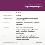 Петуния Littletunia Pink Splash (0,1л) — параметры сорта