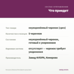 Петуния Littletunia Pink Splash (срезы/5шт) — что приедет
