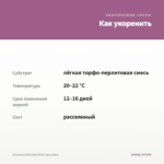 Петуния Littletunia Pink (срез/5шт) — как укоренить черенок