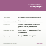 Петуния Littletunia Pink (срез/5шт) — что приедет