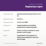 Петуния Littletunia Purple Blue (0,1л) — параметры сорта