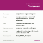 Петуния Littletunia Rose (0,1л) — что приедет