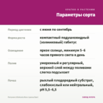 Петуния Littletunia Rose (срезы/5шт) — параметры сорта