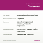 Петуния Littletunia Rose (срезы/5шт) — что приедет