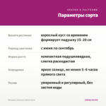 Петуния Littletunia Shiraz (0,1л) — параметры сорта