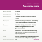 Петуния Littletunia Shiraz (0,1л) — параметры сорта