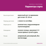 Петуния Littletunia Shiraz (срезы/5шт) — параметры сорта
