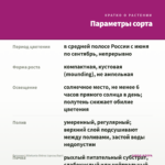 Петуния Littletunia Shiraz (срезы/5шт) — параметры сорта