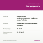 Петуния Littletunia Shiraz (срезы/5шт) — как укоренить черенок
