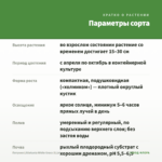 Петуния Littletunia White Grace (0,1л) — параметры сорта