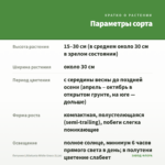 Петуния Littletunia White Grace (0,1л) — параметры сорта