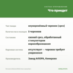Петуния Littletunia White Grace (срезы/5шт) — что приедет