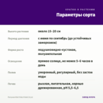 Петуния Mini Vista Violet (0,1л) — параметры сорта