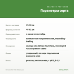 Петуния Mini Vista White (0,1л) — параметры сорта