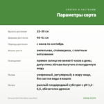 Петуния Mini Vista White (срез/5шт) — параметры сорта
