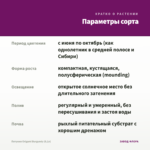 Петуния Origami Burgundy (0,1л) — параметры сорта