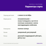 Петуния Ovation Blue Velvet (срезы/5шт) — параметры сорта