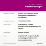 Петуния Ovation Bright Eyes (0,1л) — параметры сорта