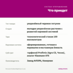 Петуния Ovation Bright Eyes (0,1л) — что приедет