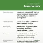 Петуния Ovation White (0,1л) — параметры сорта