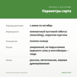 Петуния Ovation White (срезы/5шт) — параметры сорта