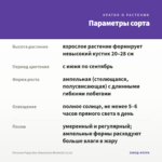 Петуния Peppy Bee (Smartunia Windmill) (0,1л) — параметры сорта