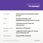Петуния Peppy Bee (Smartunia Windmill) (0,1л) — что приедет