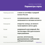 Петуния Peppy Bee (Smartunia Windmill) (0,1л) — параметры сорта