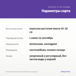 Петуния Peppy Bee (Smartunia Windmill) (срезы/5шт) — параметры сорта