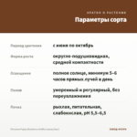 Петуния Peppy Blueberry Muffin (срезы/5шт) — параметры сорта