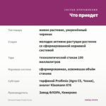 Петуния Peppy Purple (0,1л) — что приедет