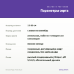 Петуния Peppy Purple (0,1л) — параметры сорта