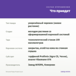 Петуния Peppy Purple (0,1л) — что приедет