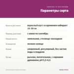 Петуния Peppy Purple (срезы/5шт) — параметры сорта